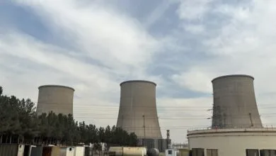 62837544.jpg