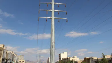 3310833.jpg