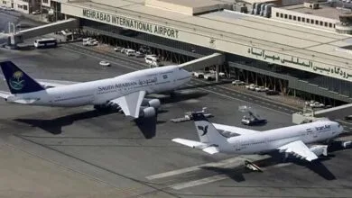 5596660.jpg